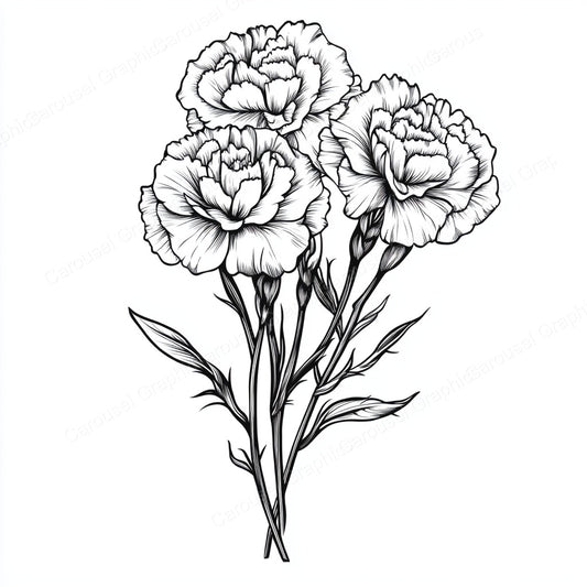 Carnation Vector Graphic preview