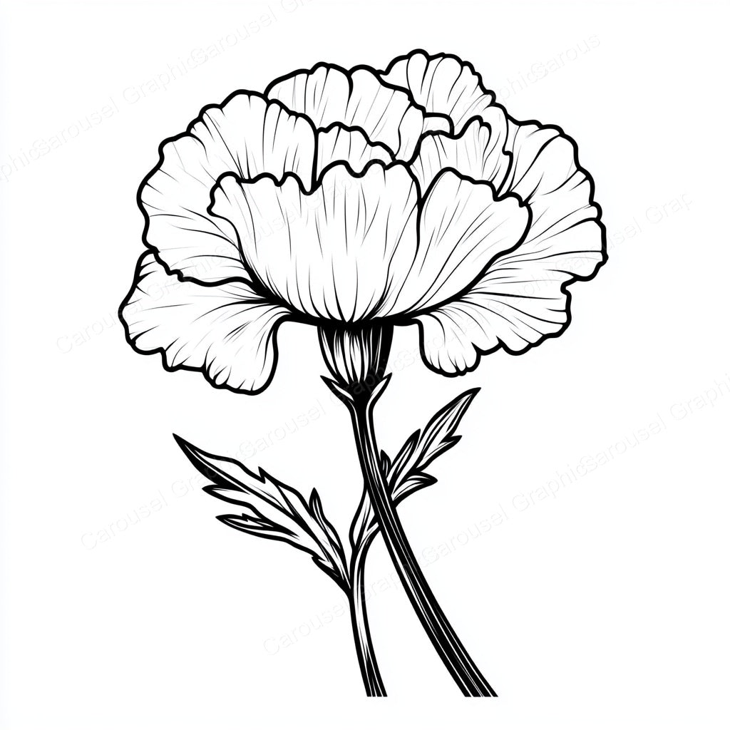 Carnation Vector Graphic preview