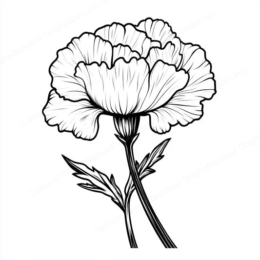 Carnation Vector Graphic preview