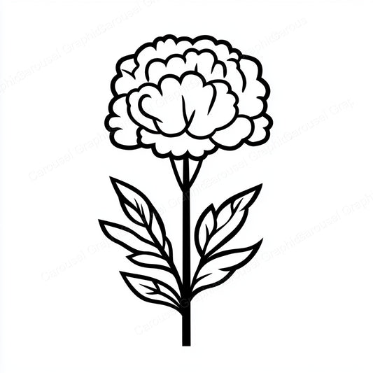 Carnation Vector Graphic preview