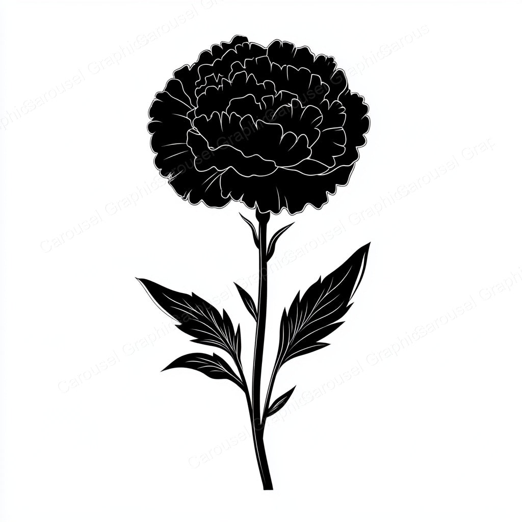 Carnation Vector Graphic preview