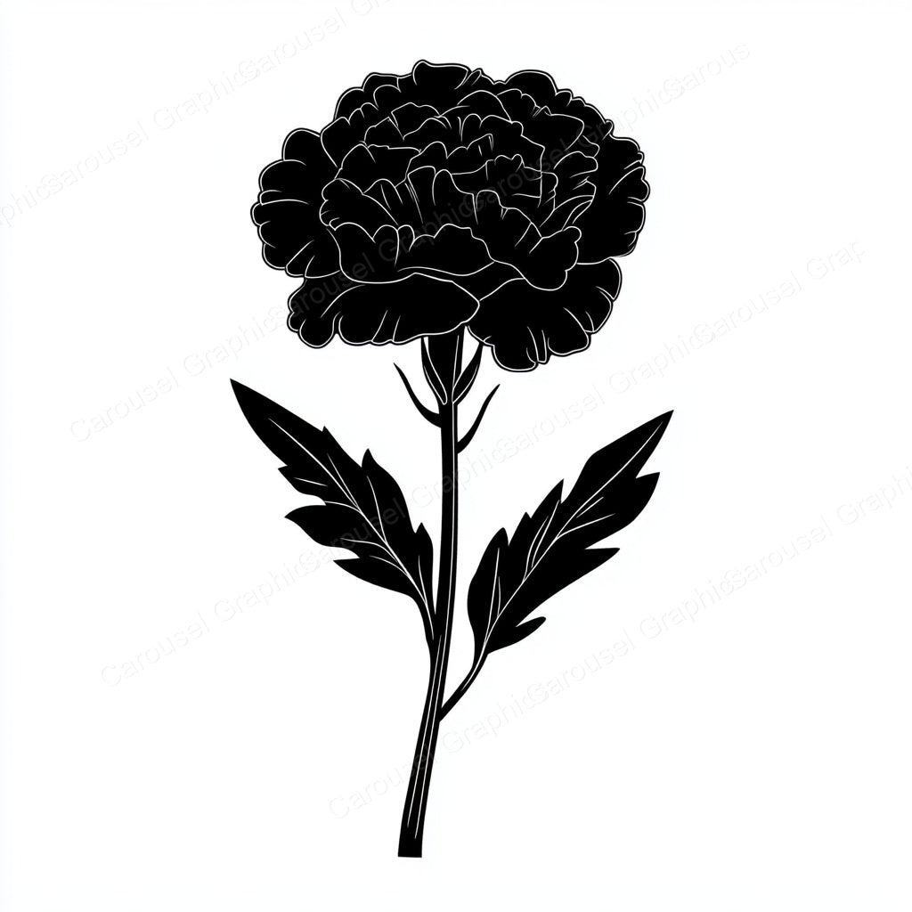 Carnation Vector Graphic preview