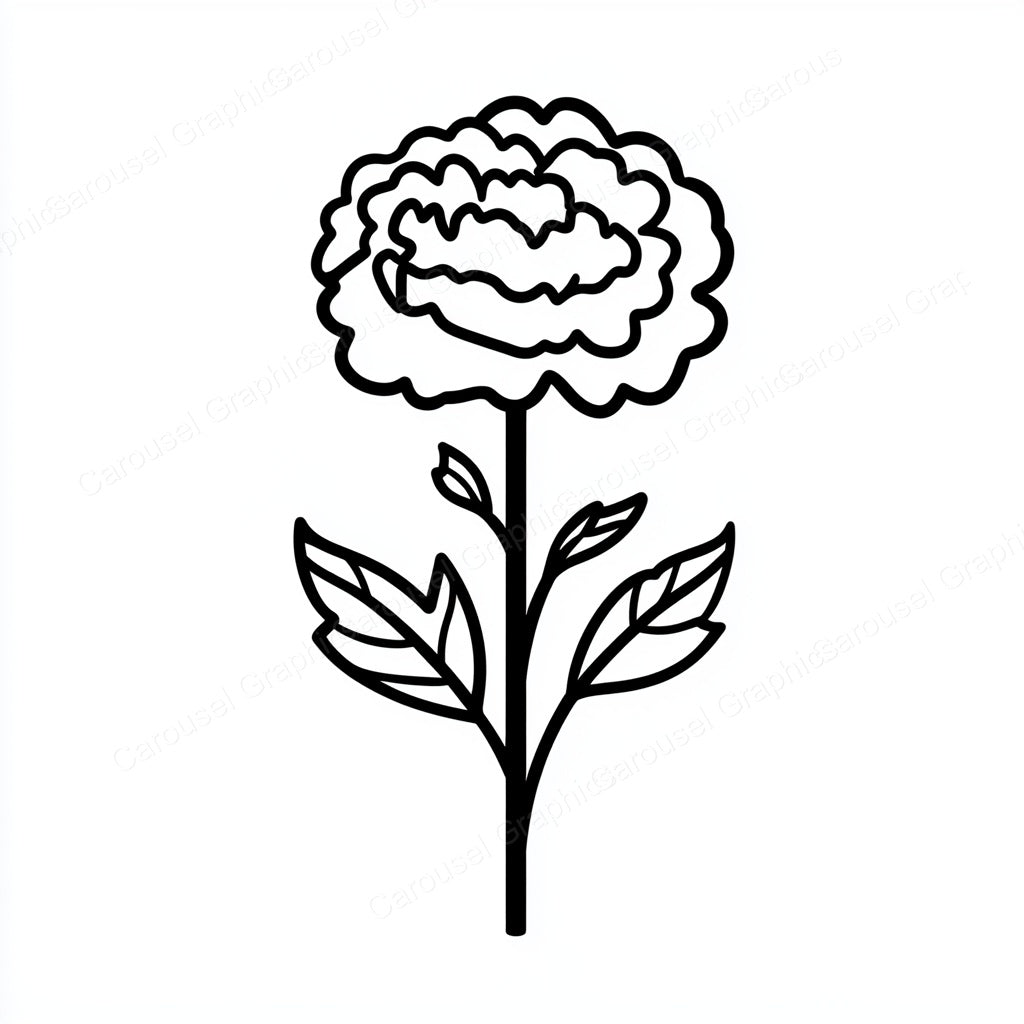 Carnation Vector Graphic preview