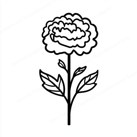 Carnation Vector Graphic preview
