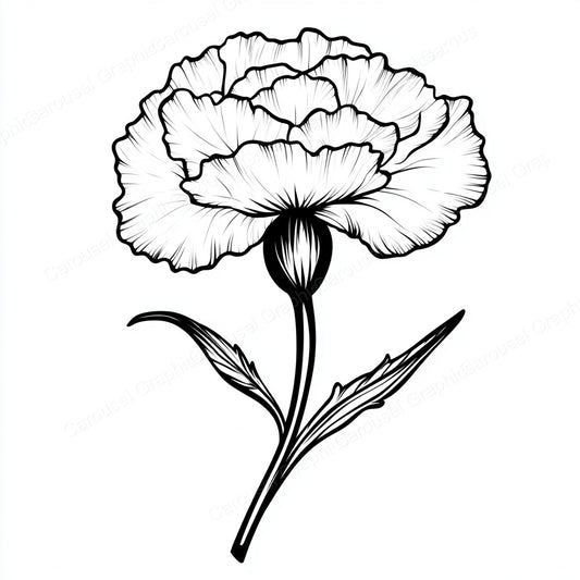 Carnation Vector Graphic preview