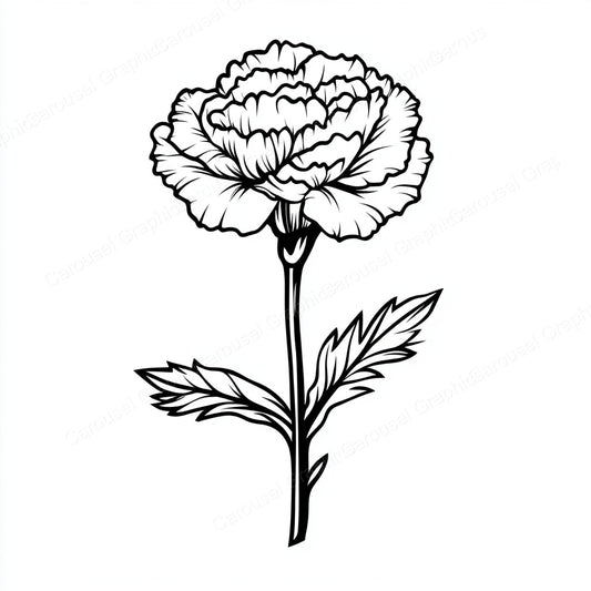 Carnation Vector Graphic preview