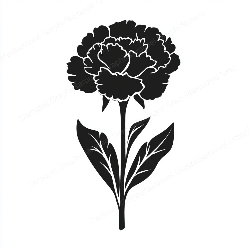 Carnation Vector Graphic preview