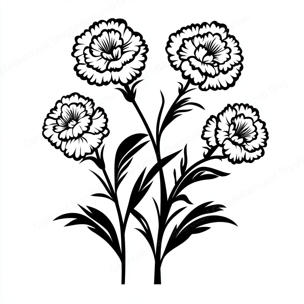 Carnation Vector Graphic preview