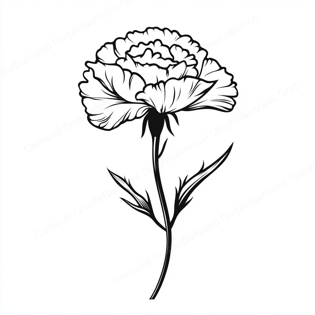 Carnation Vector Graphic preview