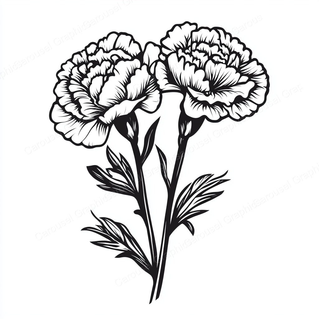 Carnation Vector Graphic preview