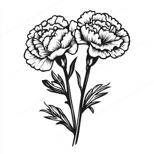 Carnation Vector Graphic preview