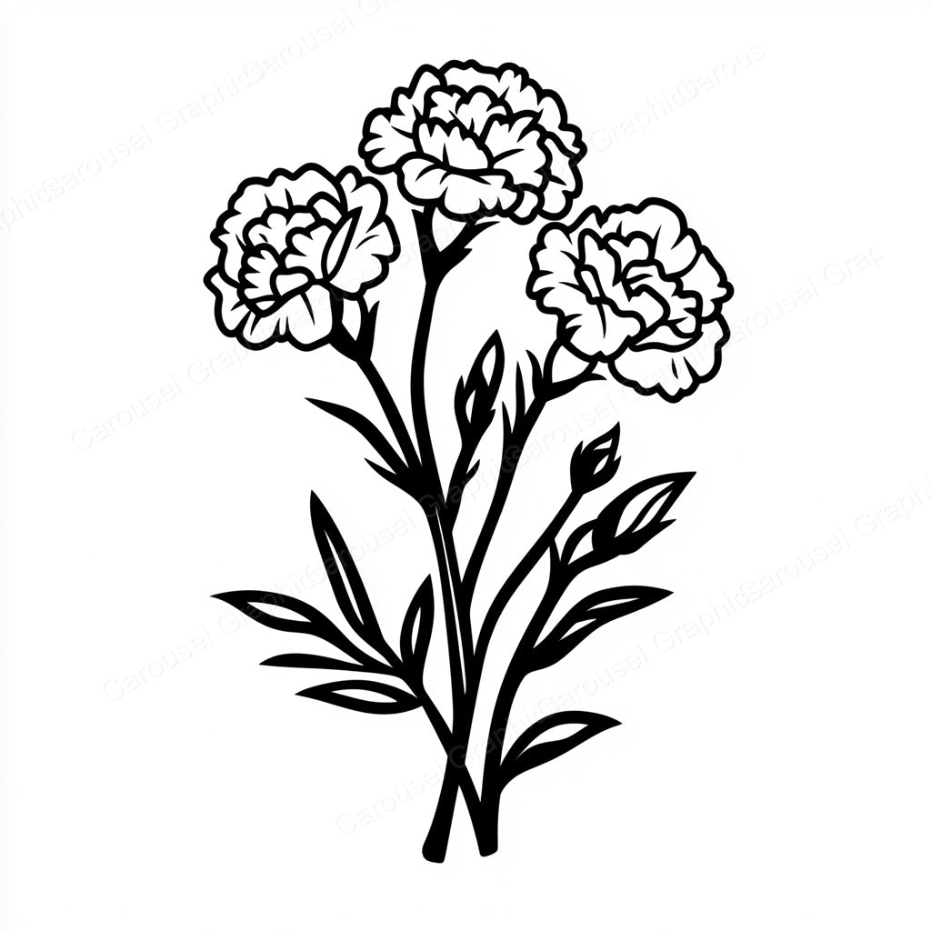 Carnation Vector Graphic preview