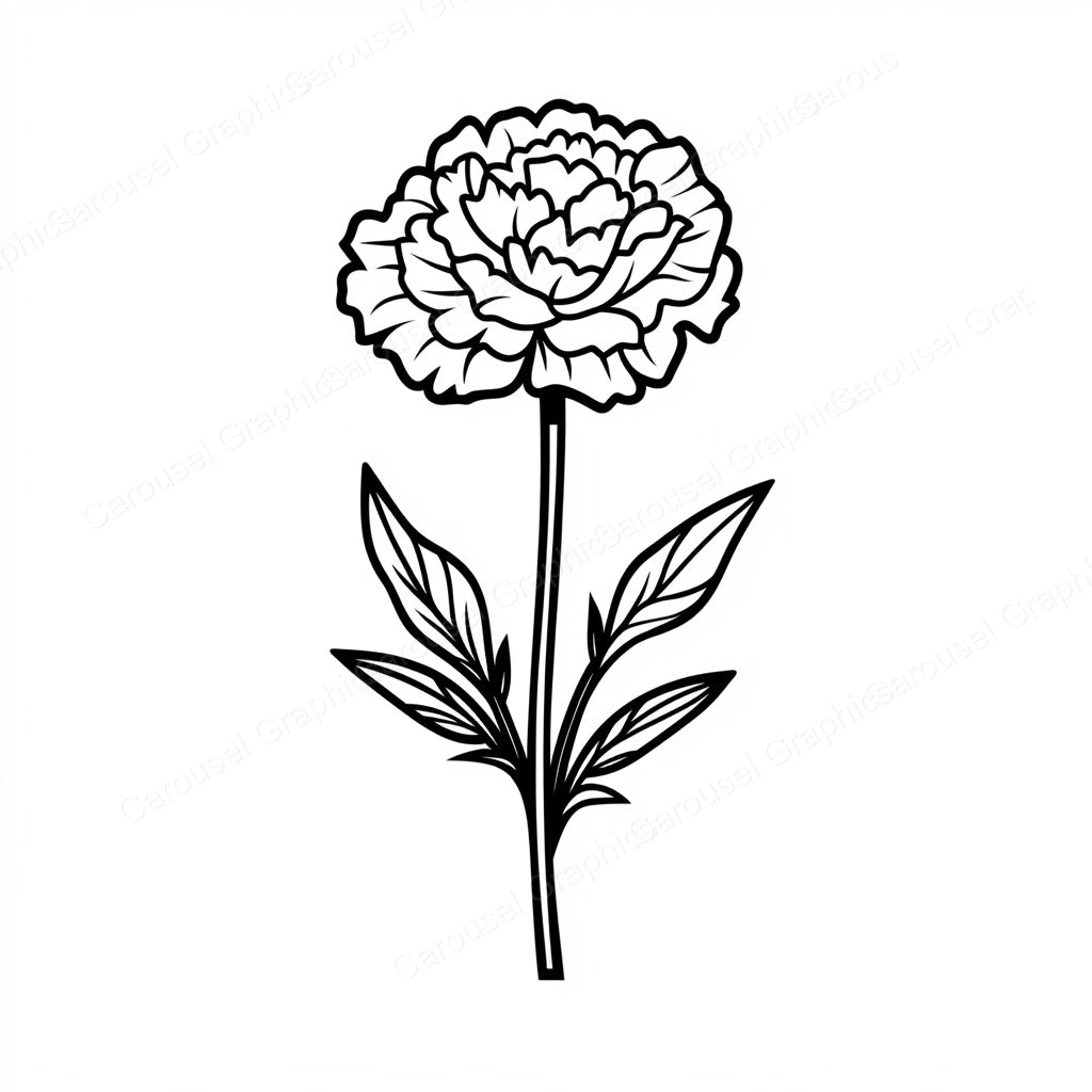 Carnation Vector Graphic preview
