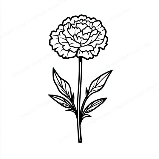 Carnation Vector Graphic preview
