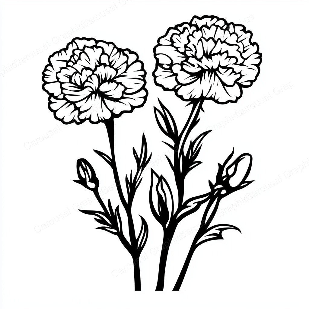 Carnation Vector Graphic preview