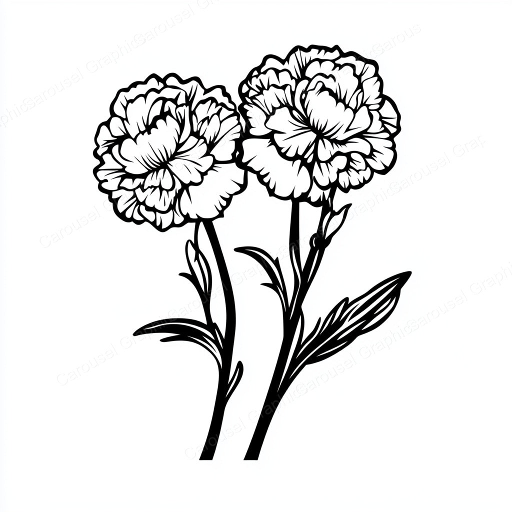 Carnation Vector Graphic preview