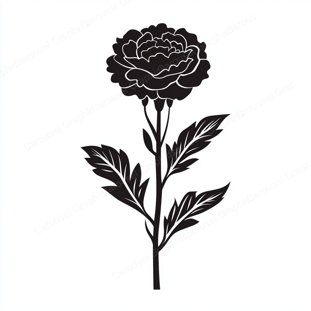 Carnation Vector Graphic preview