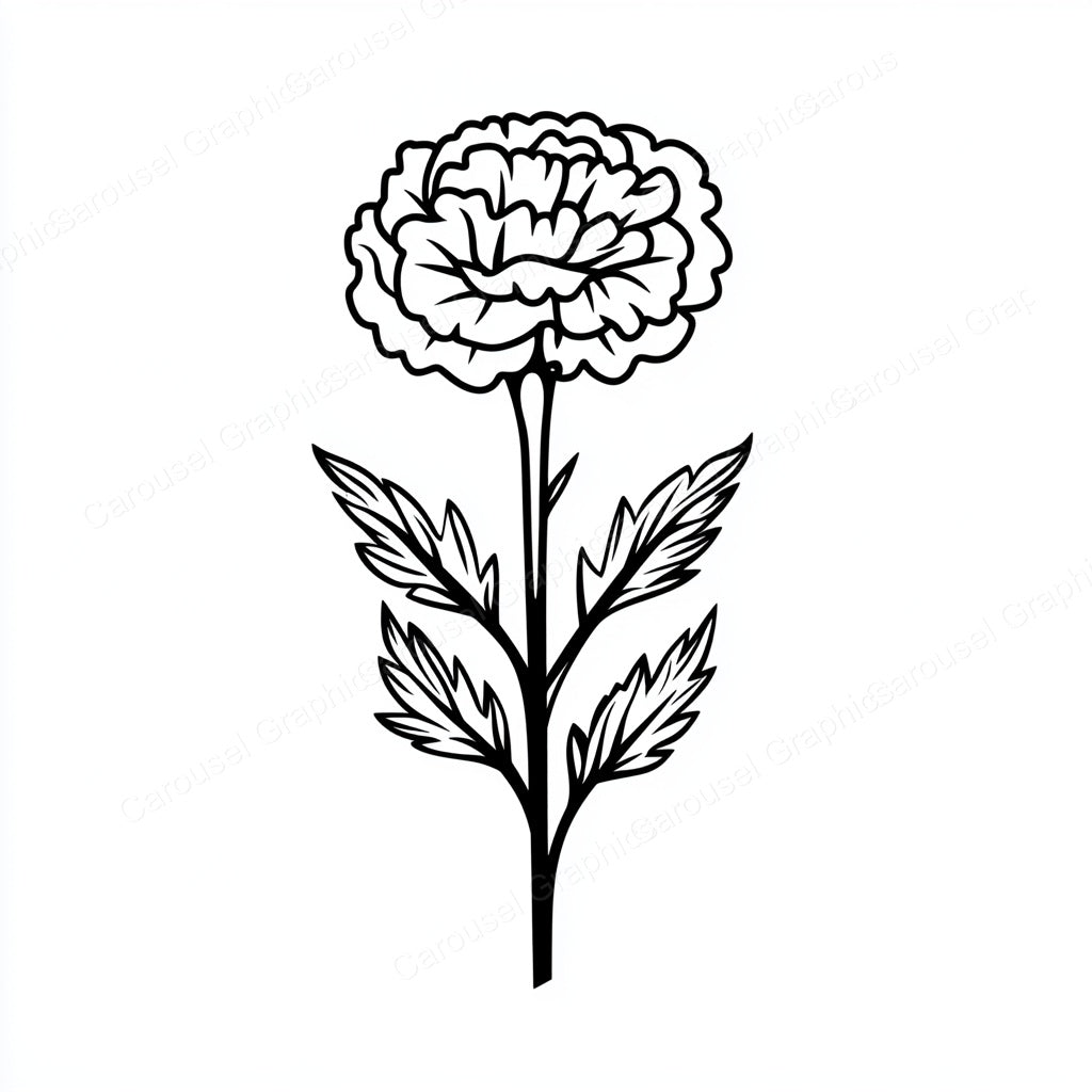 Carnation Vector Graphic preview