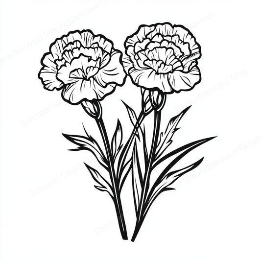 Carnation Vector Graphic preview