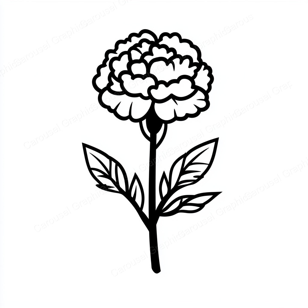 Carnation Vector Graphic preview