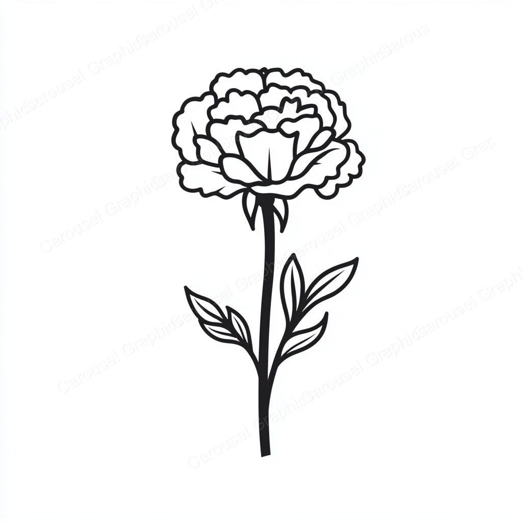 Carnation Vector Graphic preview