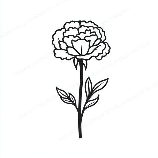 Carnation Vector Graphic preview
