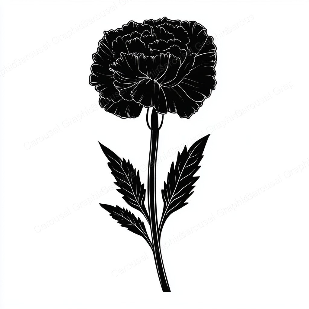 Carnation Vector Graphic preview