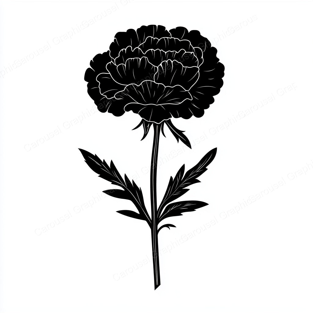 Carnation Vector Graphic preview