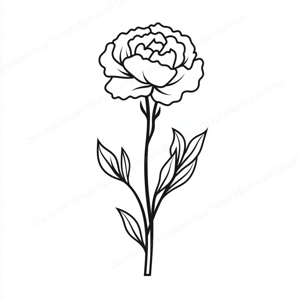 Carnation Vector Graphic preview