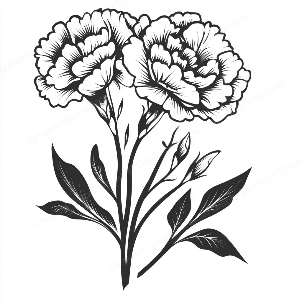 Carnation Vector Graphic preview