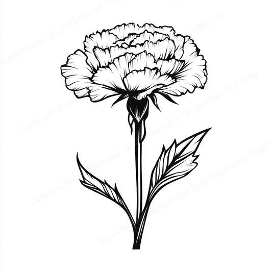 Carnation Vector Graphic preview