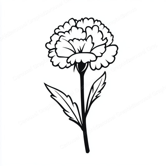 Carnation Vector Graphic preview