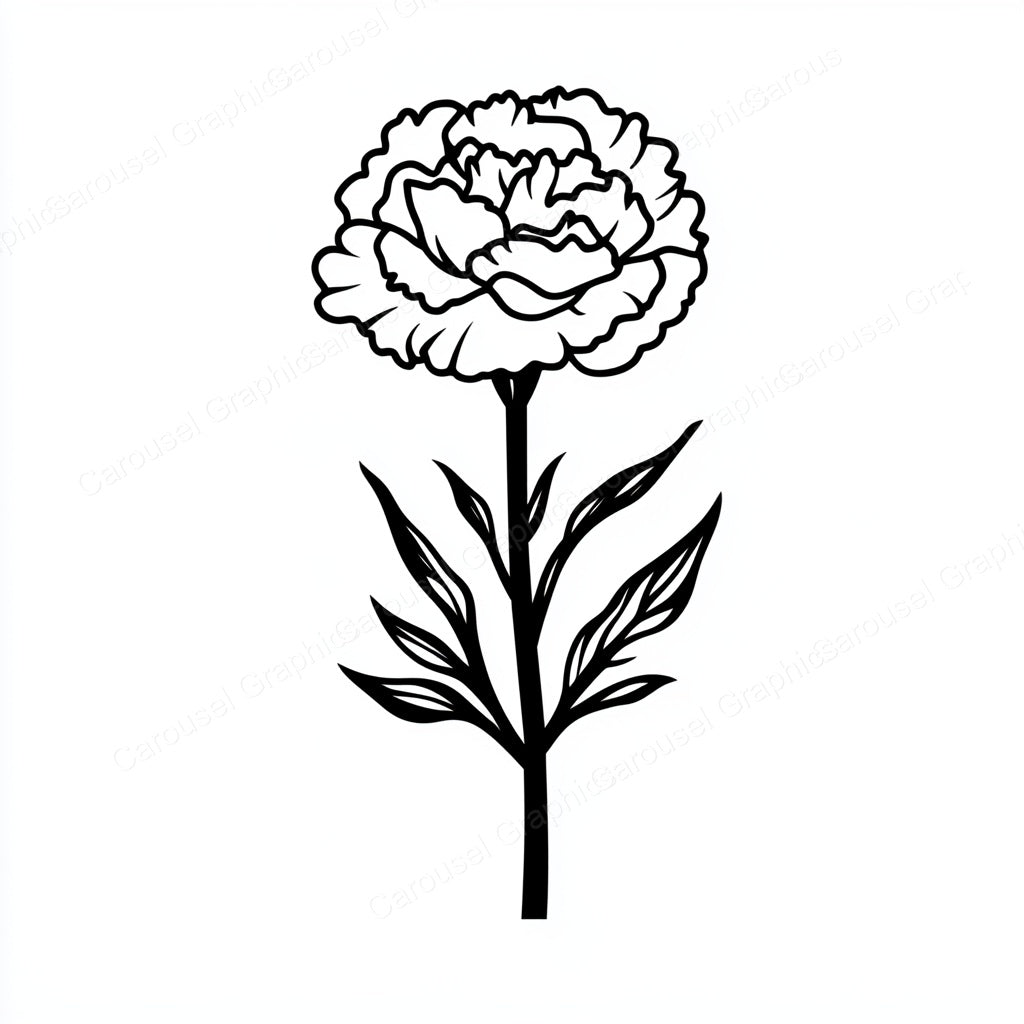 Carnation Vector Graphic preview