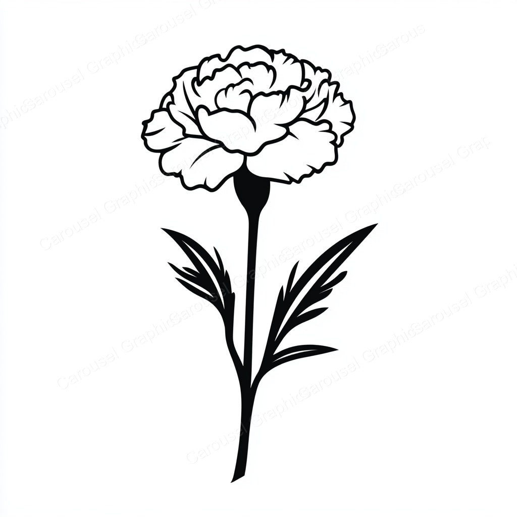 Carnation Vector Graphic preview