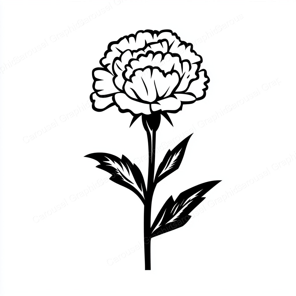 Carnation Vector Graphic preview