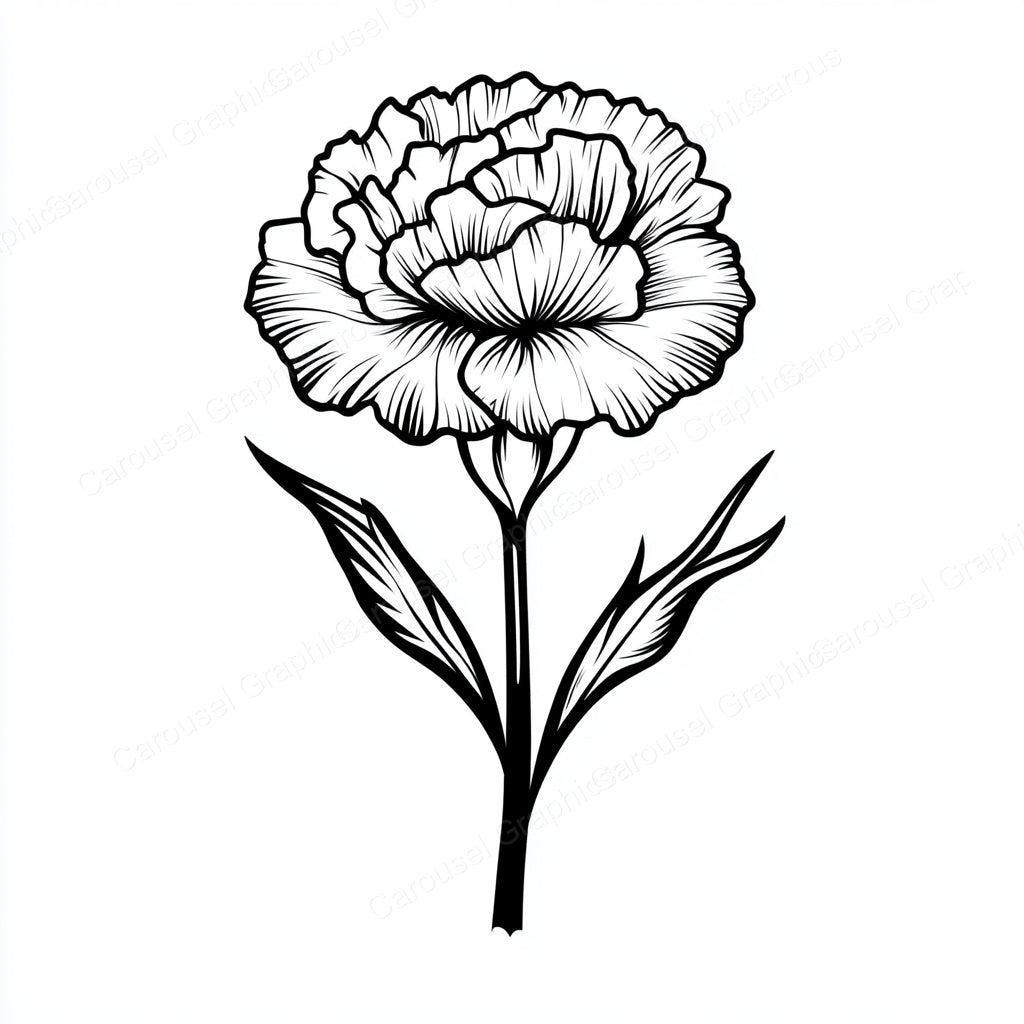 Carnation Vector Graphic preview