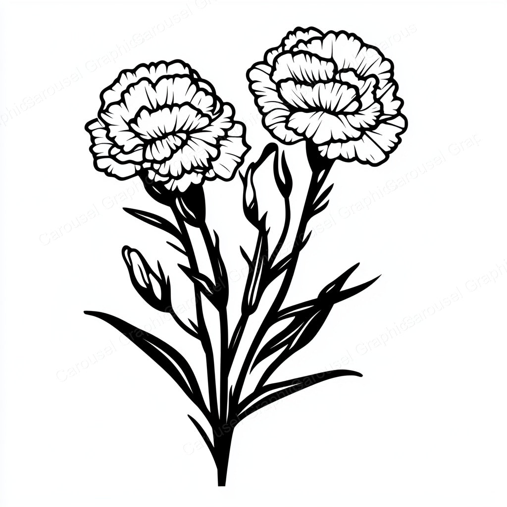 Carnation Vector Graphic preview