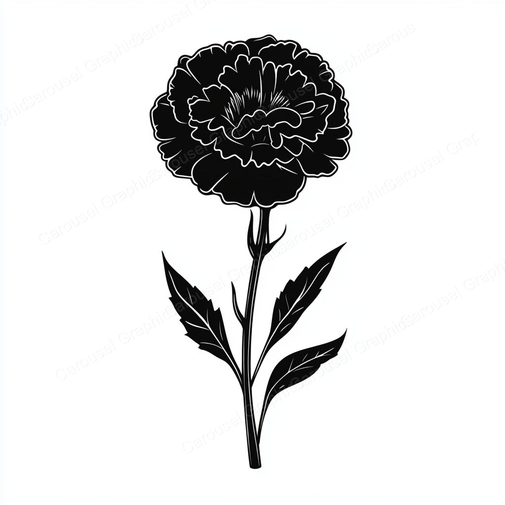 Carnation Vector Graphic preview