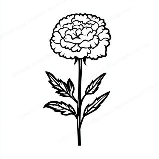 Carnation Vector Graphic preview