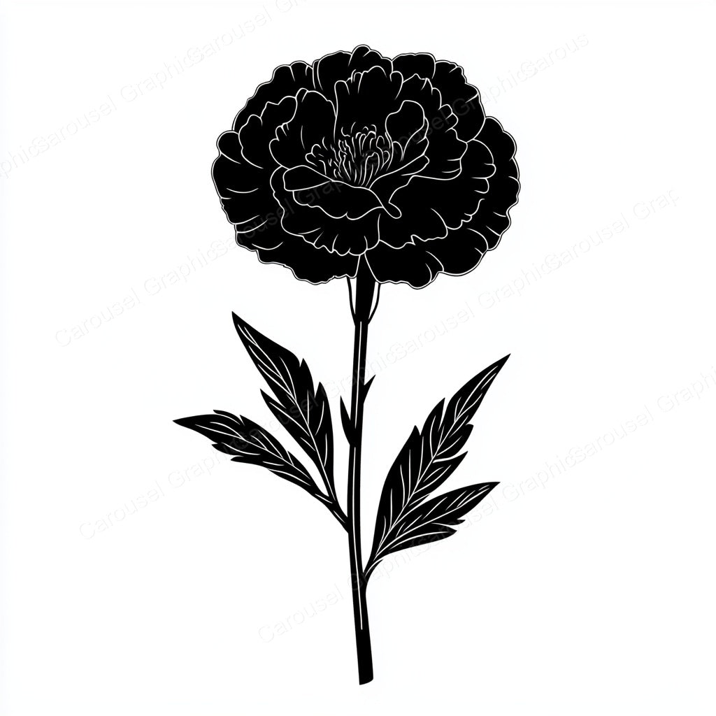 Carnation Vector Graphic preview