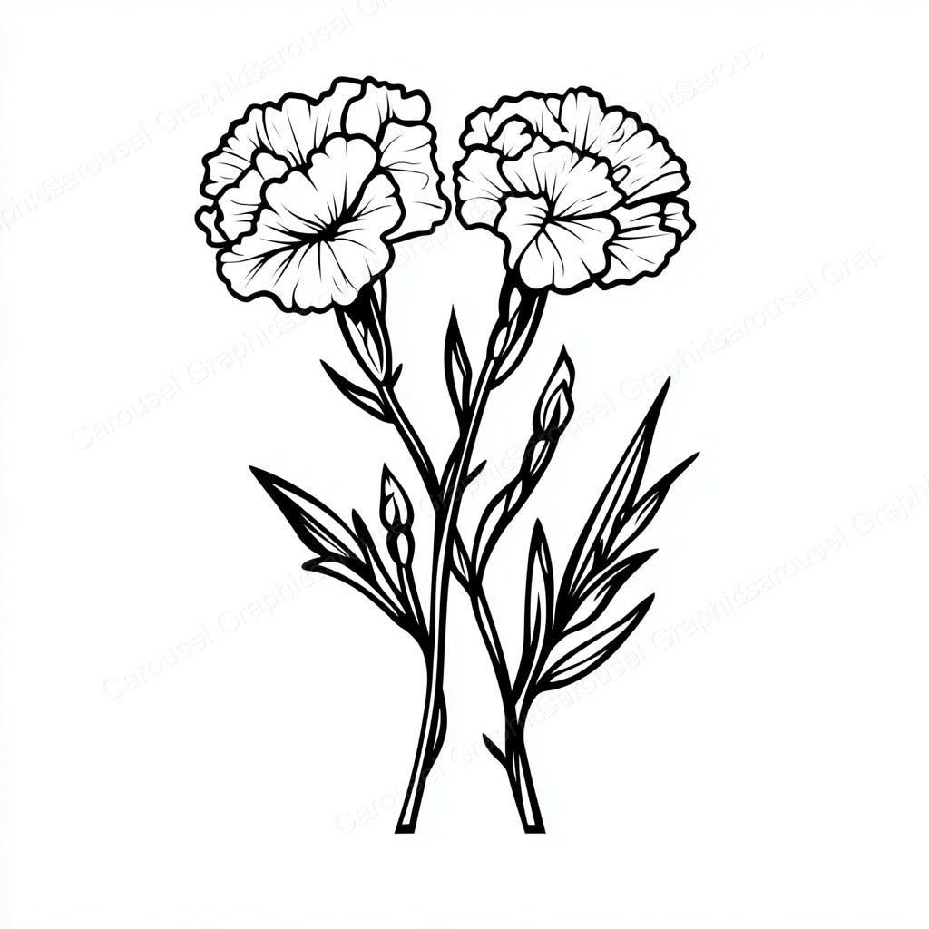 Carnation Vector Graphic preview