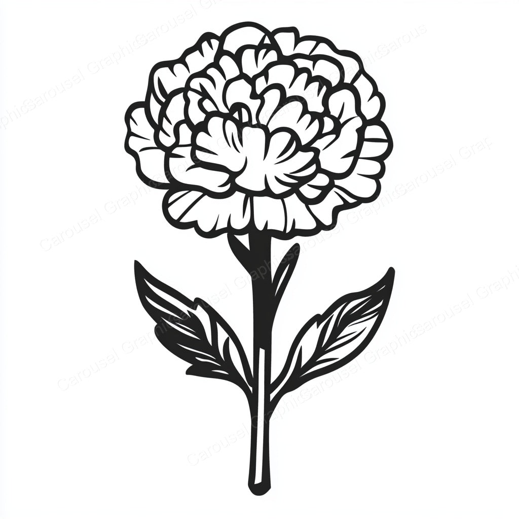 Carnation Vector Graphic preview