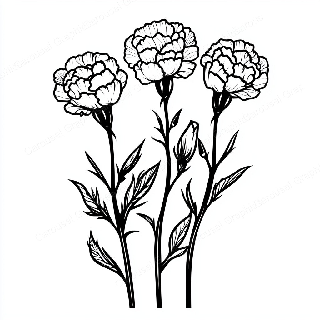 Carnation Vector Graphic preview