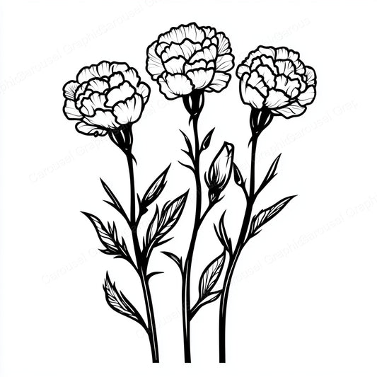 Carnation Vector Graphic preview