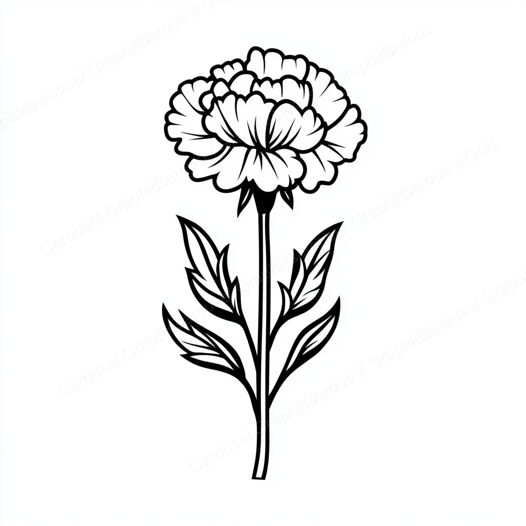 Carnation Vector Graphic preview