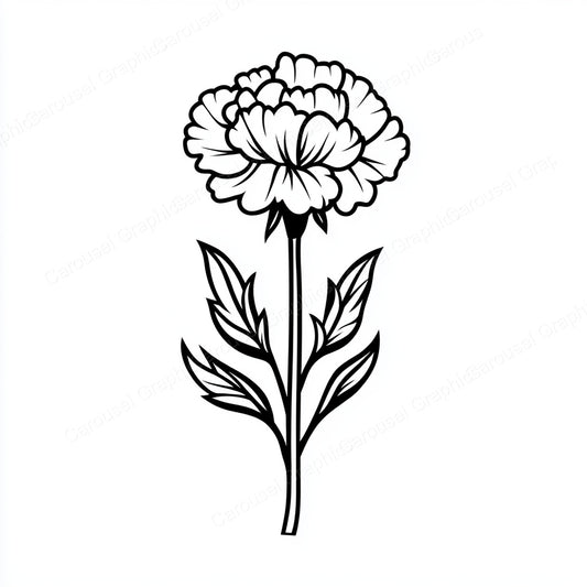 Carnation Vector Graphic preview