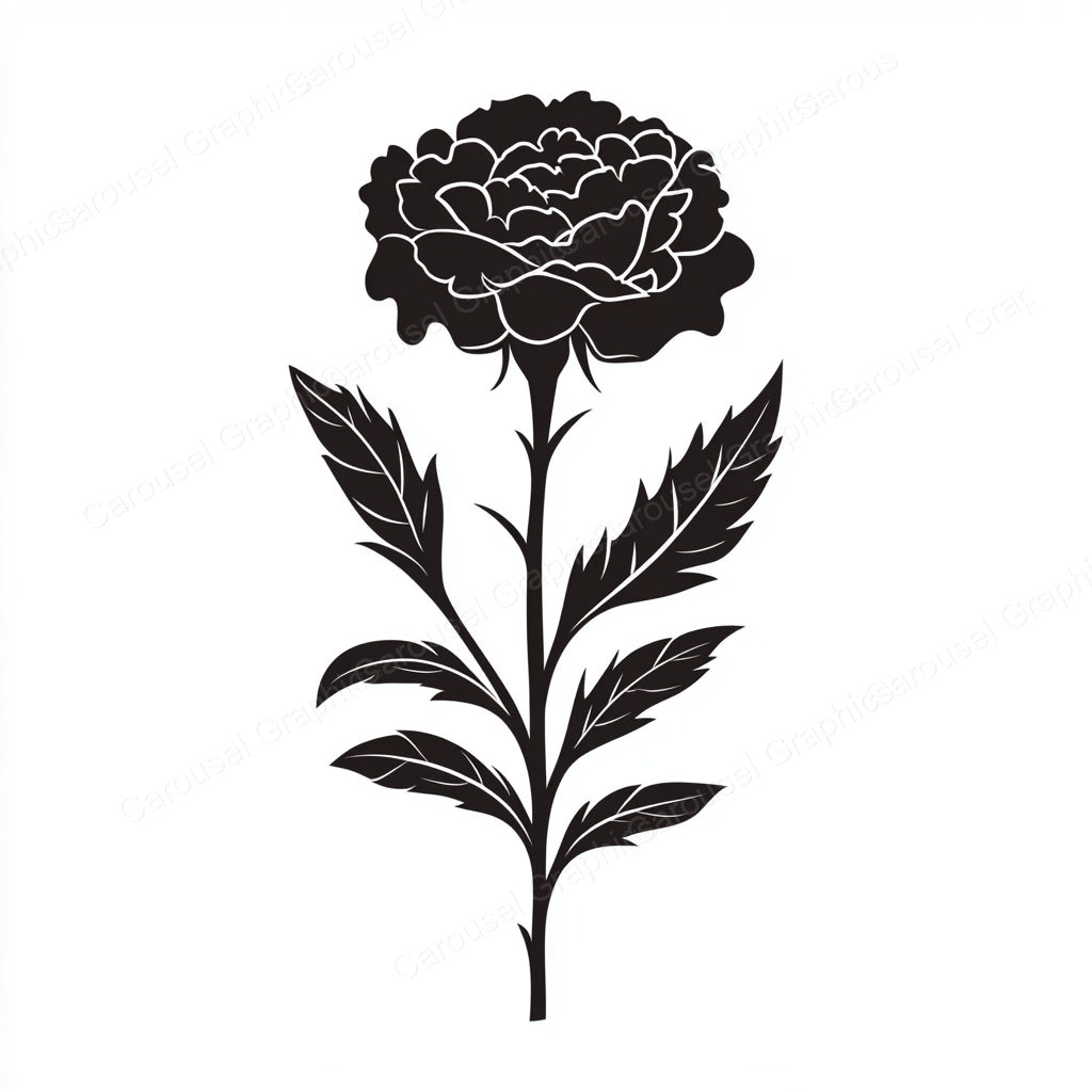 Carnation Vector Graphic preview