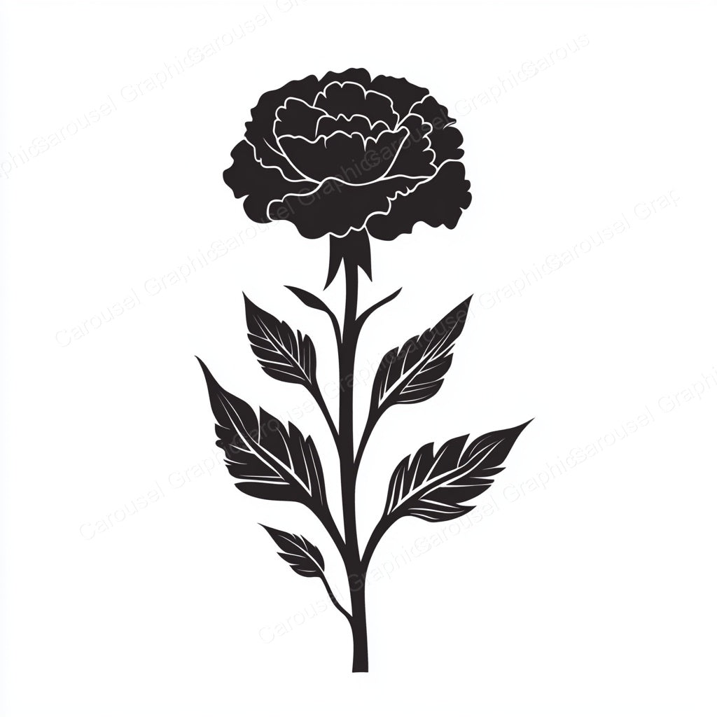 Carnation Vector Graphic preview