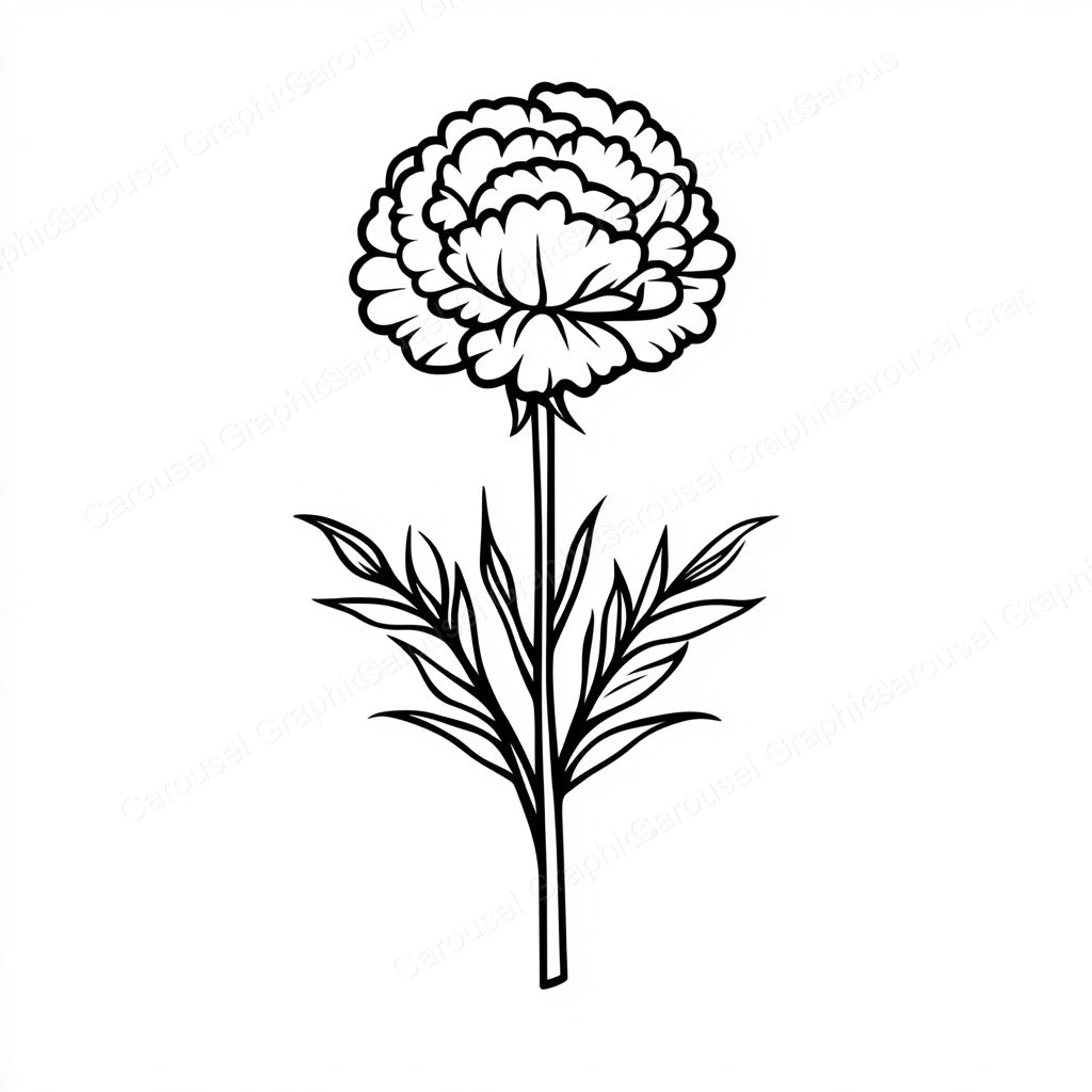 Carnation Vector Graphic preview
