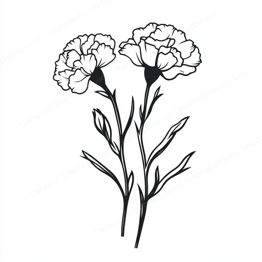 Carnation Vector Graphic preview